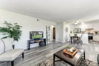 Photo #5: 224057025 Listing 