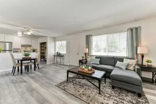 Photo #6: 224057025 Listing 