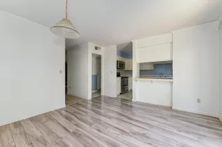 Photo #6: 224057457 Listing