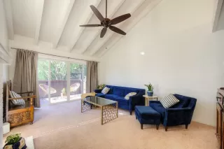 Photo #1: 224057721 Listing