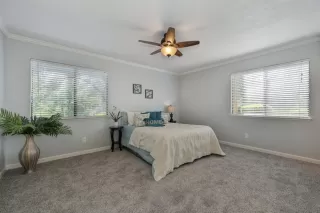 Photo #3: 224058074 Listing