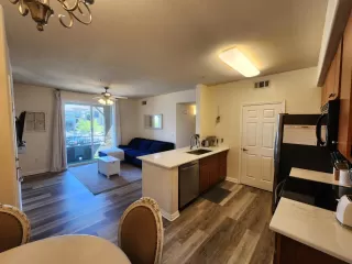 Photo #3: 224059144 Listing 