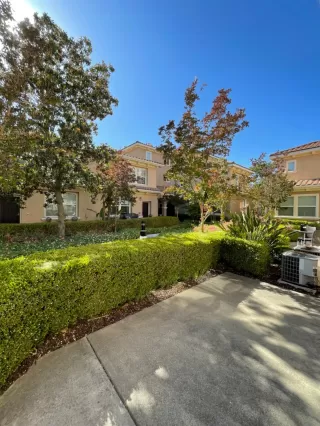 Photo #1: 224059309 Listing 