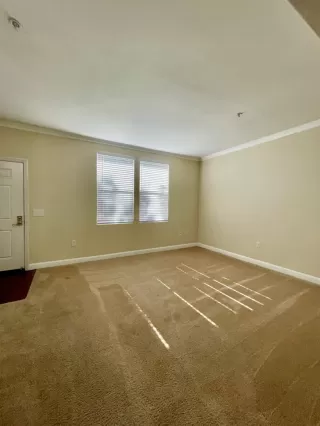 Photo #3: 224059309 Listing 