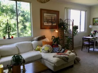 Photo #1: 224059743 Listing