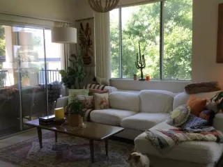 Photo #2: 224059743 Listing