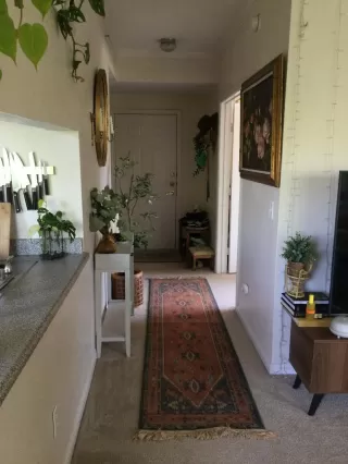 Photo #5: 224059743 Listing