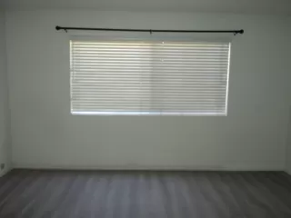 Photo #4: 224060144 Listing