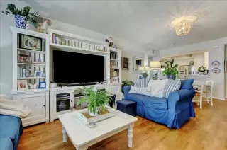 Photo #1: 224061055 Listing