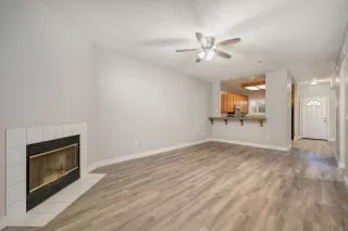 Photo #1: 224061677 Listing 