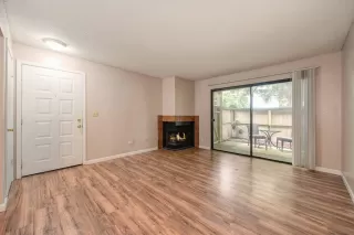 Photo #3: 224061764 Listing