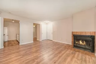 Photo #4: 224061764 Listing