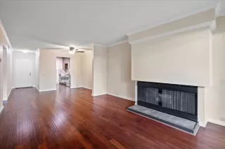 Photo #5: 224061812 Listing