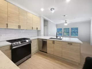 Photo #5: 224062163 Listing