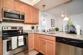 Photo #5: 224062326 Listing 