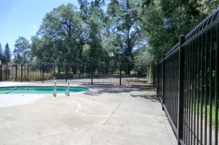 Photo #1: 224062611 Listing 