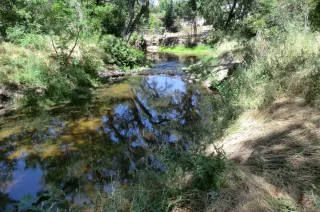 Photo #5: 224062611 Listing 