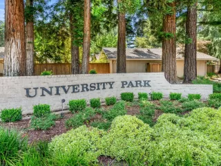 Photo #3: 224062644 Listing