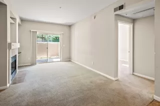 Photo #5: 224062926 Listing