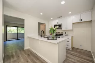 Photo #4: 224063415 Listing