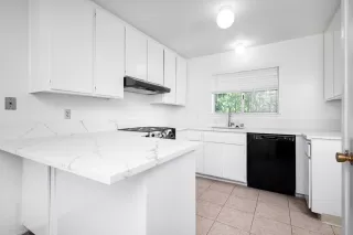 Photo #1: 224063443 Listing