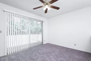 Photo #5: 224063443 Listing