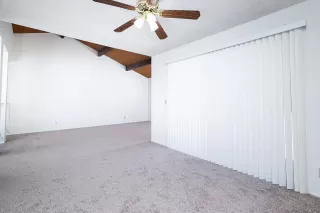 Photo #6: 224063443 Listing