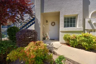 Photo #1: 224063645 Listing