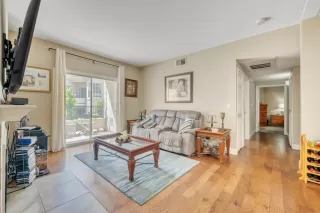 Photo #3: 224063645 Listing