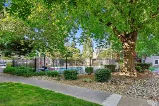 Photo #3: 224063856 Listing 