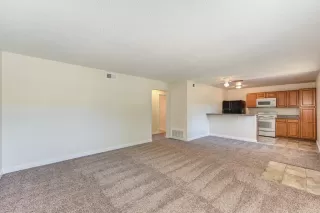 Photo #5: 224064692 Listing