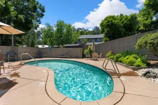 Photo #1: 224064836 Listing