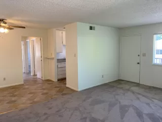 Photo #4: 224064887 Listing 