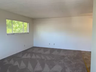 Photo #6: 224064887 Listing 