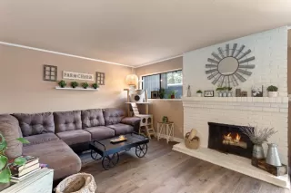 Photo #1: 224065143 Listing