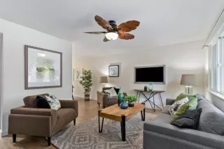 Photo #3: 224066046 Listing 