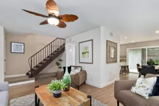 Photo #5: 224066046 Listing 