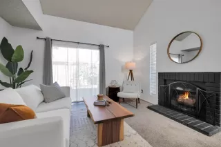 Photo #1: 224066305 Listing