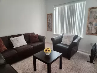 Photo #3: 224067453 Listing