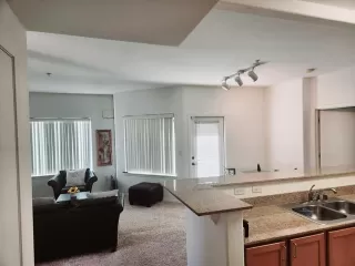 Photo #4: 224067453 Listing