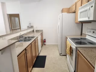 Photo #5: 224067453 Listing