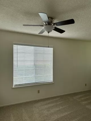 Photo #4: 224067595 Listing