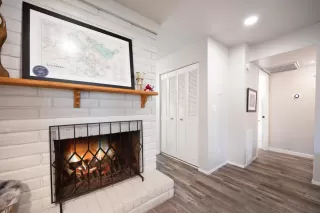 Photo #4: 224067823 Listing 