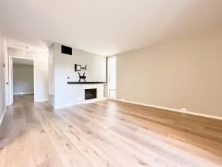 Photo #5: 224067935 Listing