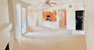 Photo #5: 224068566 Listing