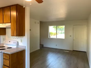 Photo #2: 224069248 Listing