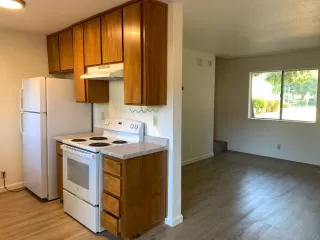 Photo #4: 224069248 Listing