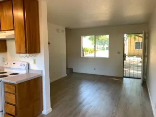 Photo #5: 224069248 Listing