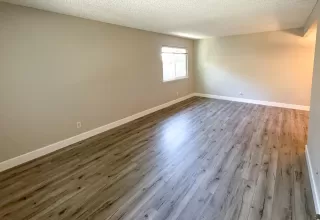 Photo #3: 224069697 Listing 
