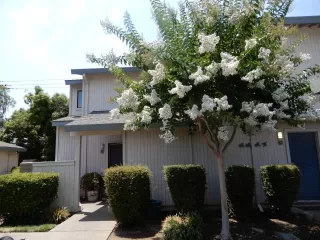 Photo #4: 224070509 Listing